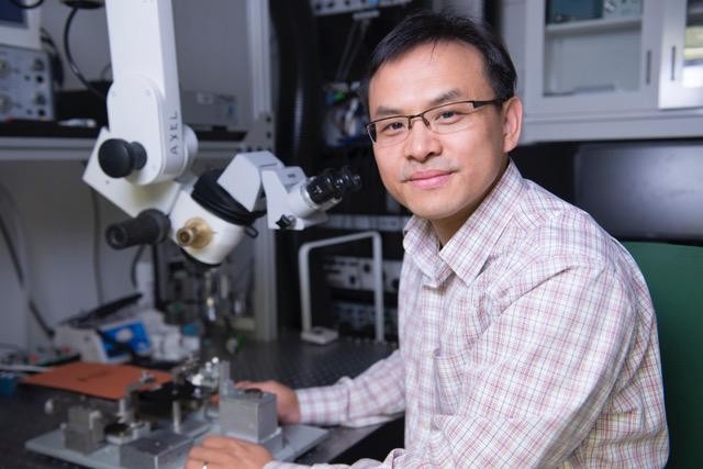 Qi Wang recognized with NSF CAREER Award